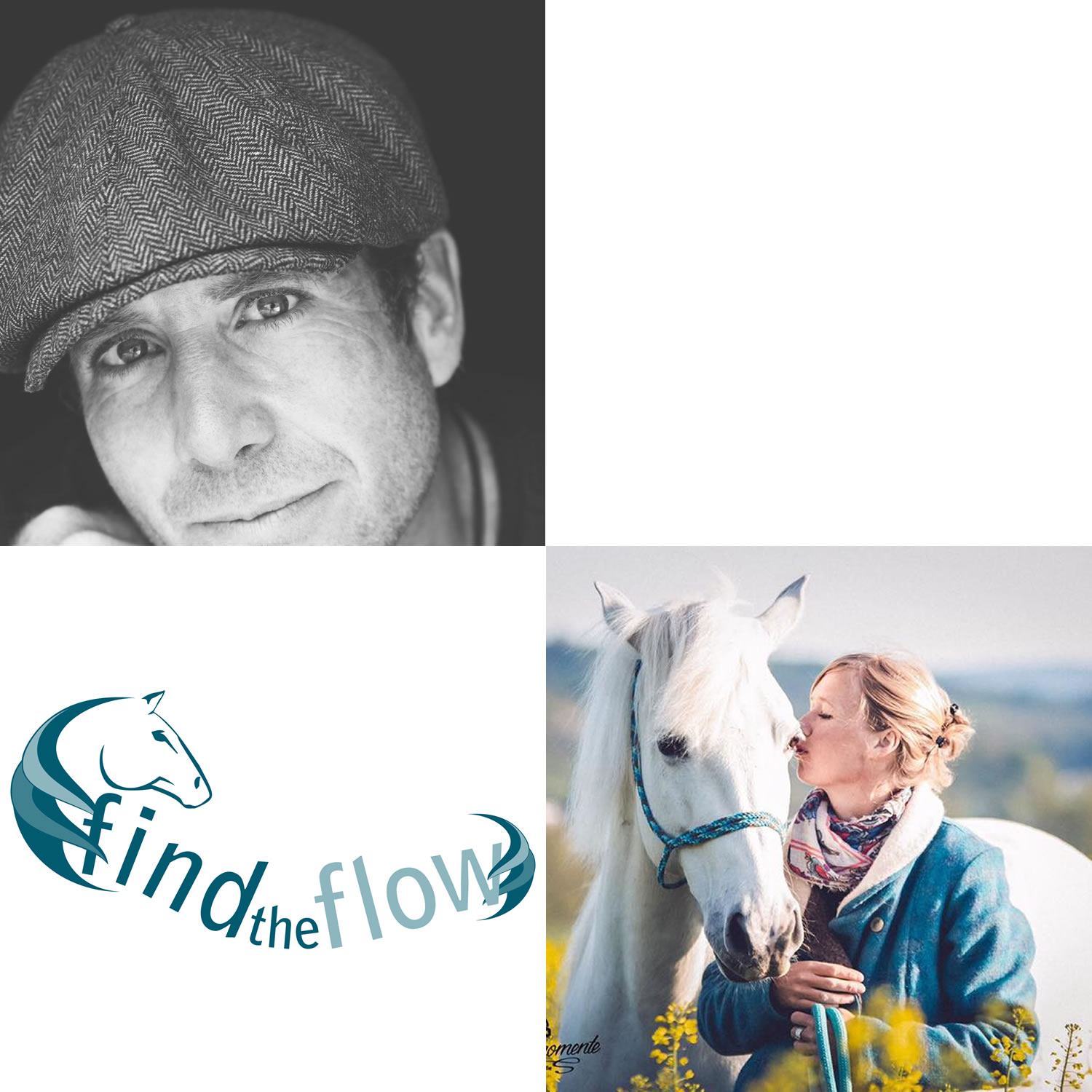 findtheflow ... von pferdemensch zu pferdemensch