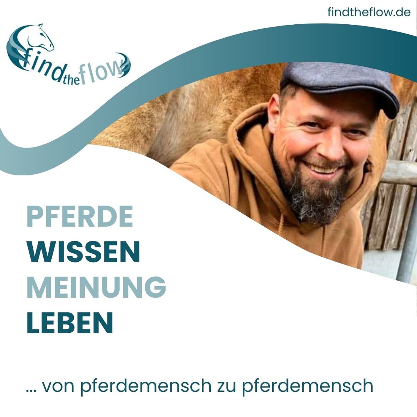 findtheflow ... von pferdemensch zu pferdemensch