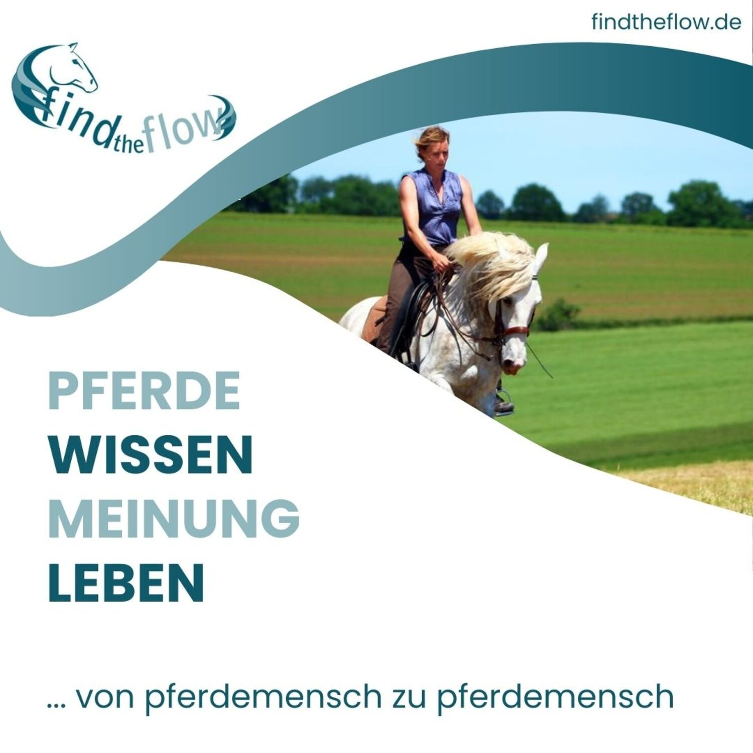 findtheflow ... von pferdemensch zu pferdemensch