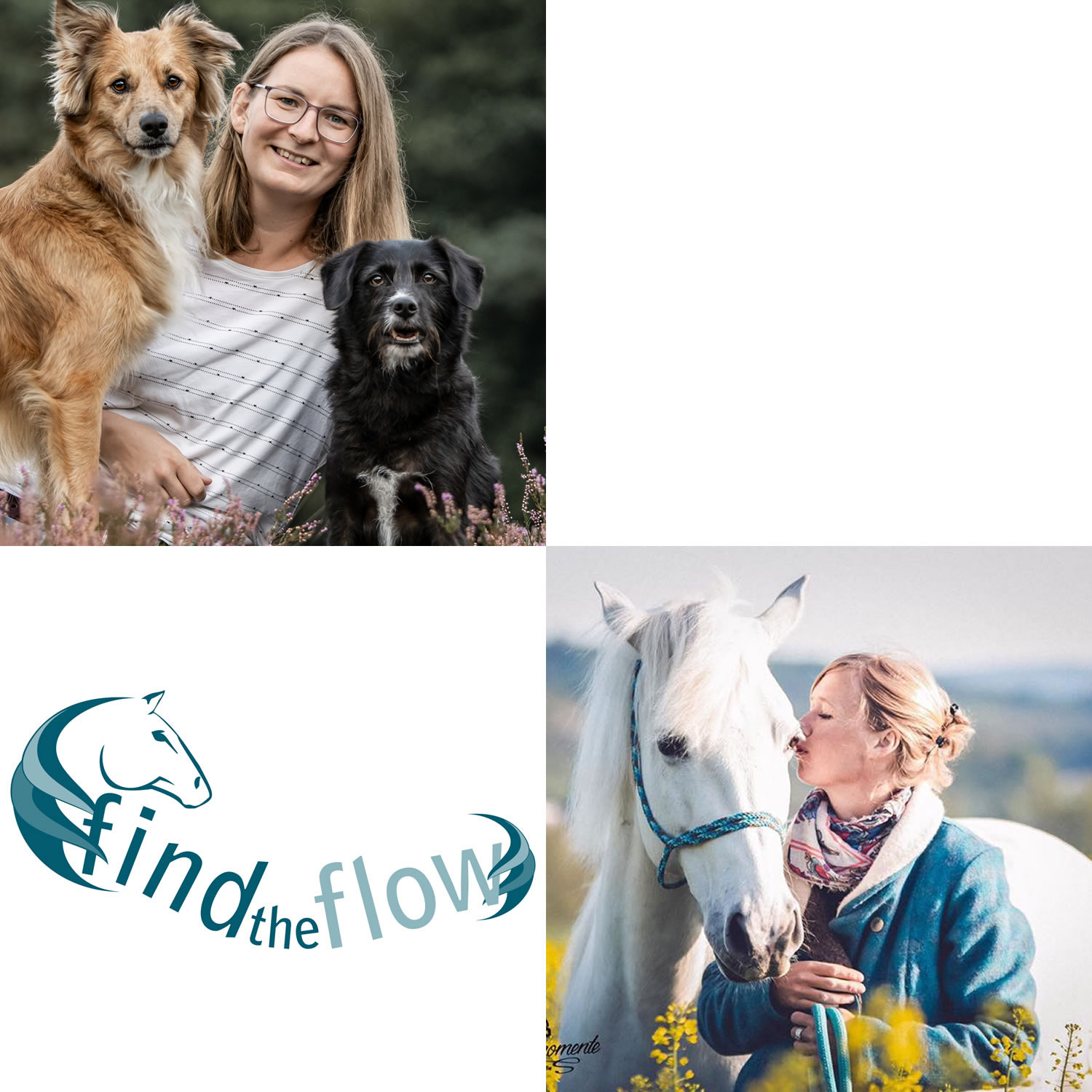 findtheflow ... von pferdemensch zu pferdemensch