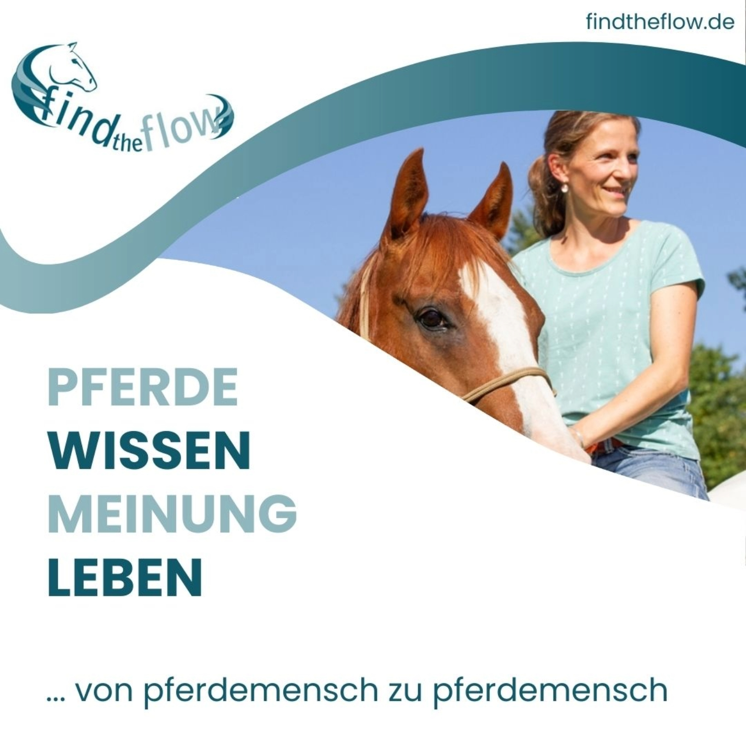 findtheflow ... von pferdemensch zu pferdemensch