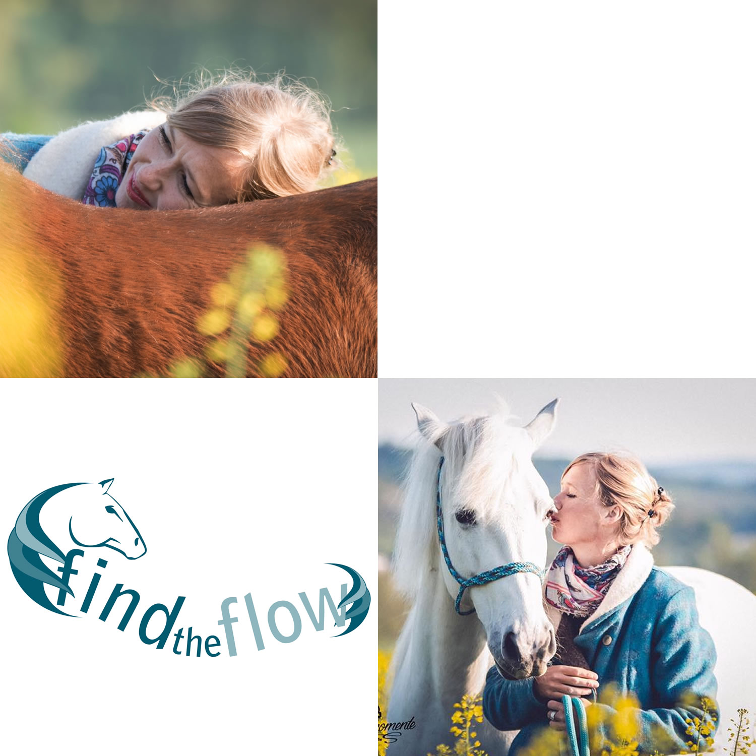 findtheflow ... von pferdemensch zu pferdemensch