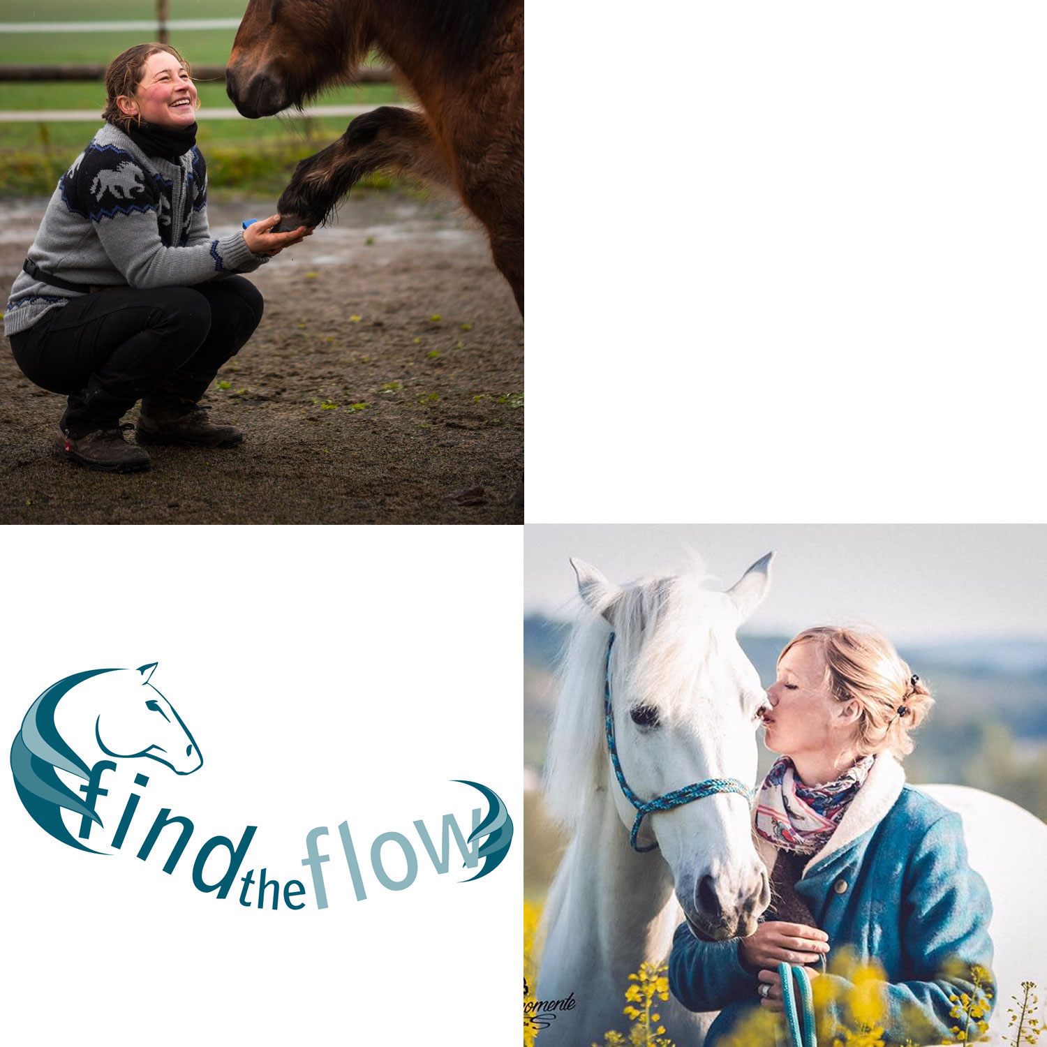 findtheflow ... von pferdemensch zu pferdemensch
