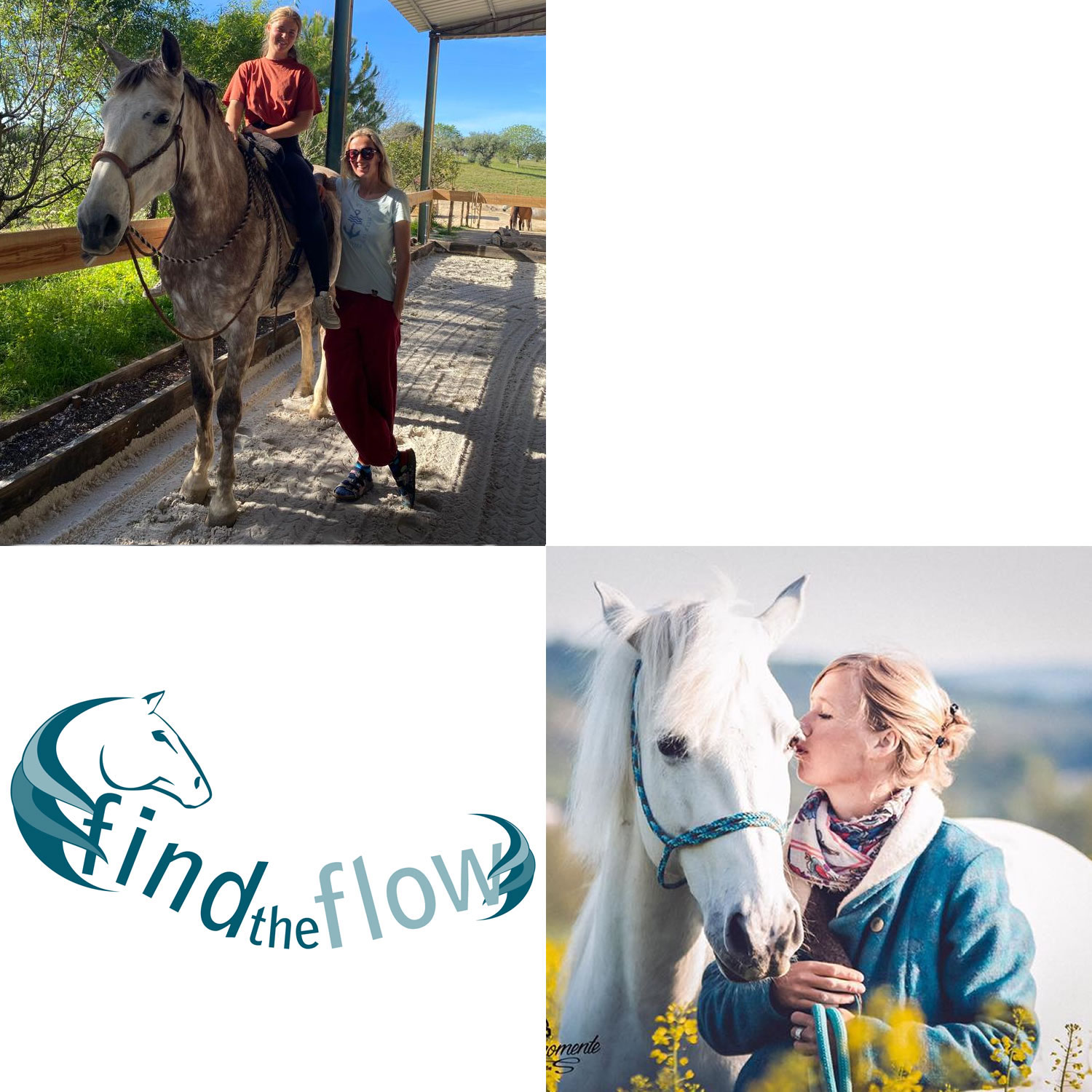 findtheflow ... von pferdemensch zu pferdemensch