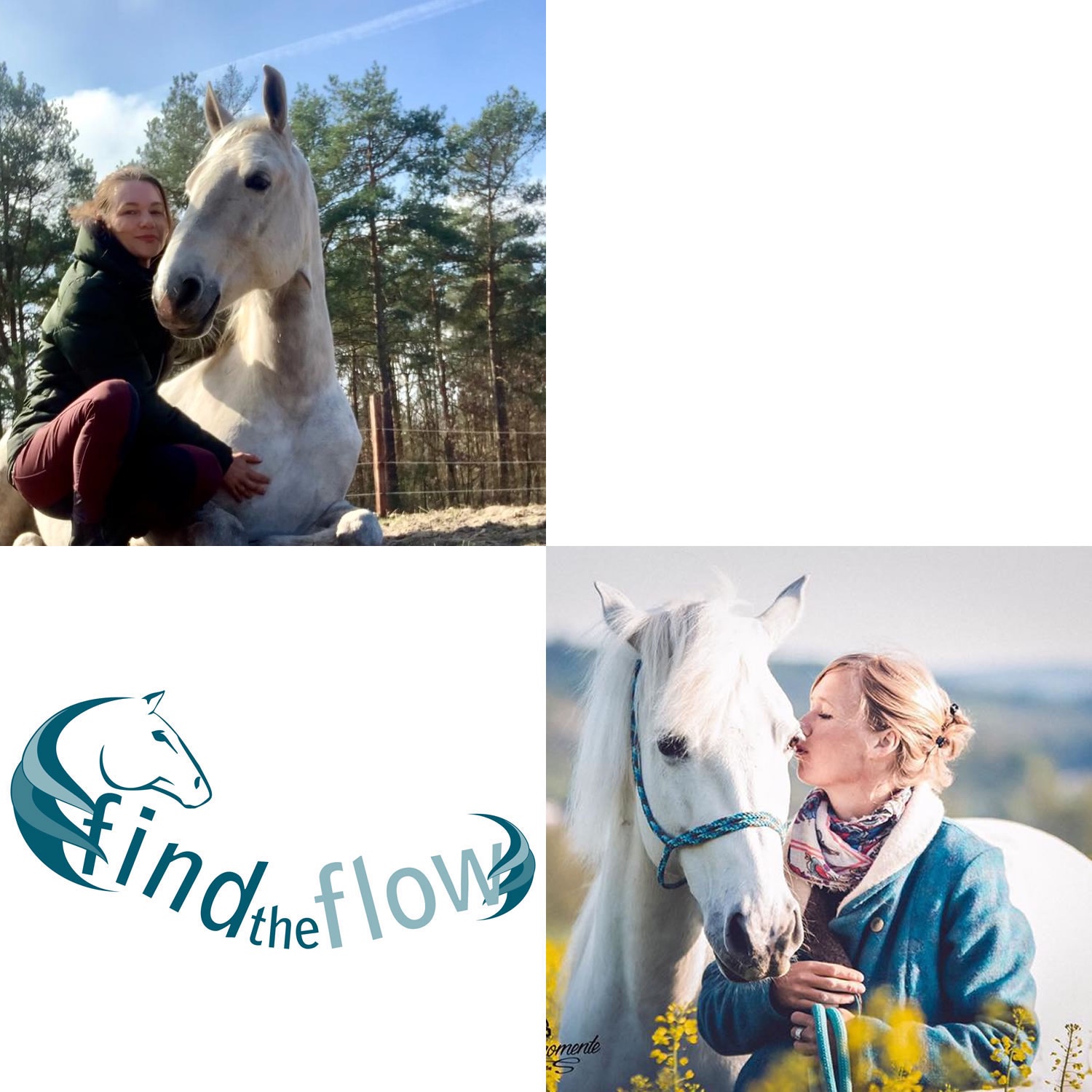 findtheflow ... von pferdemensch zu pferdemensch