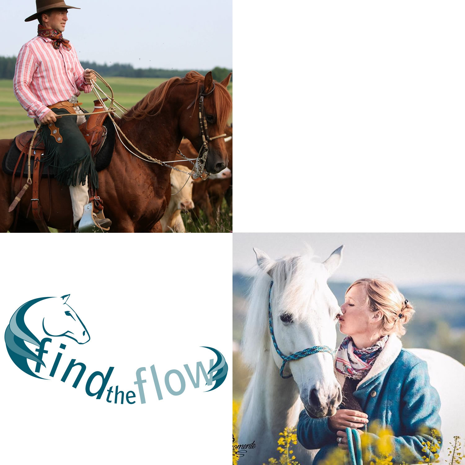 findtheflow ... von pferdemensch zu pferdemensch