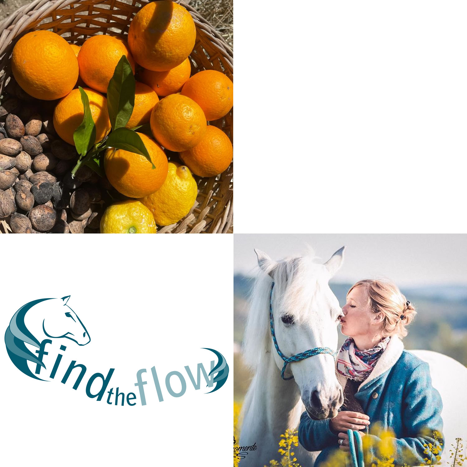 findtheflow ... von pferdemensch zu pferdemensch