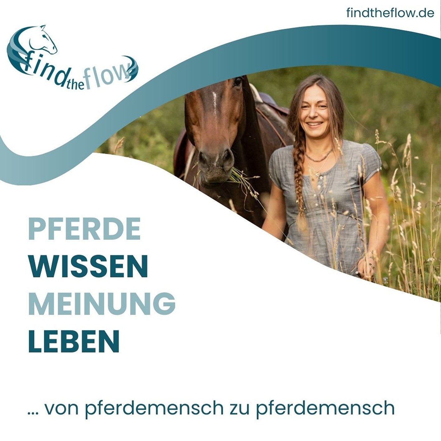findtheflow ... von pferdemensch zu pferdemensch