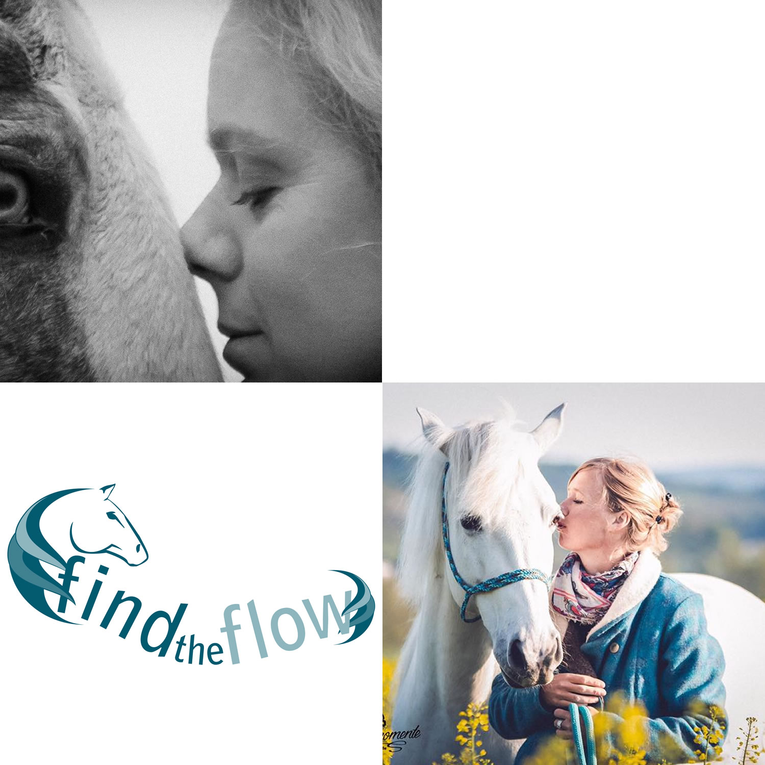 findtheflow ... von pferdemensch zu pferdemensch