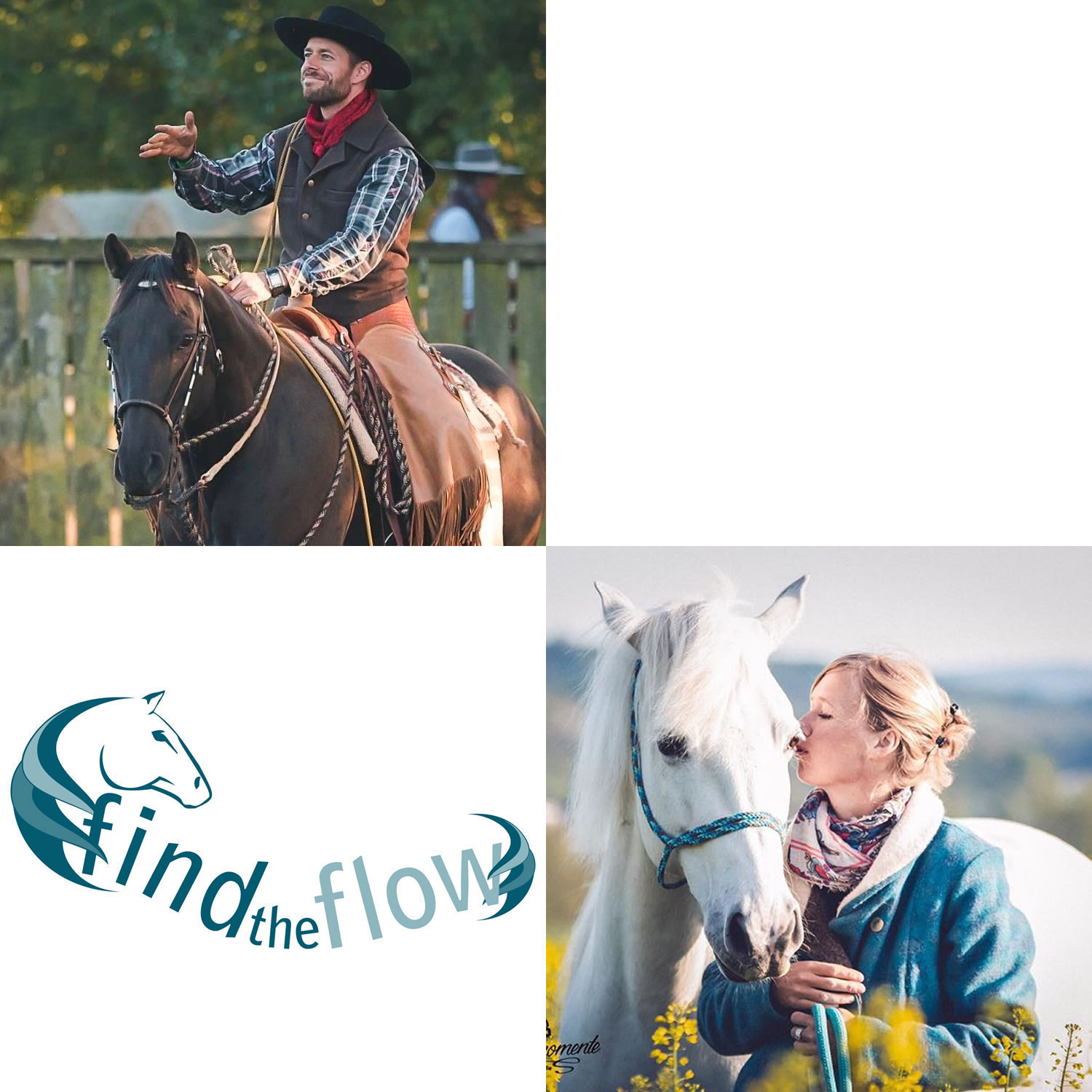 findtheflow ... von pferdemensch zu pferdemensch
