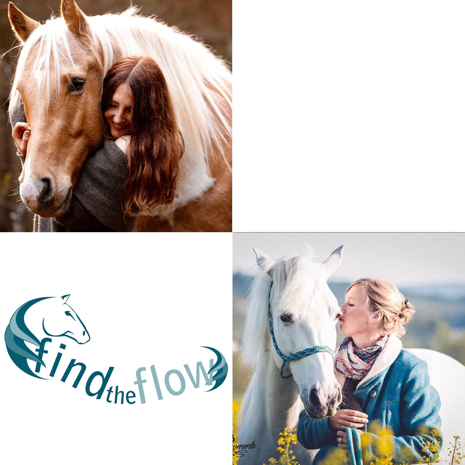 findtheflow ... von pferdemensch zu pferdemensch